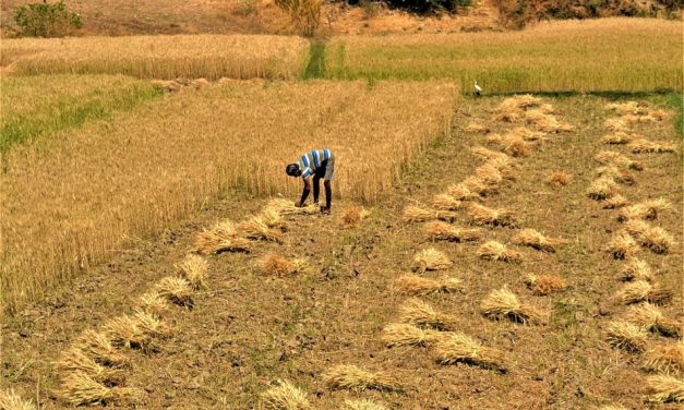ನಮ್ಮನ್ನು ದೇವರೇ ಕಾಪಾಡಬೇಕು!