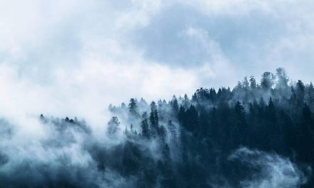 ವಿಜಯಶ್ರೀ ಎಂ. ಹಾಲಾಡಿ ಬರೆದ ಈ ದಿನದ ಕವಿತೆ