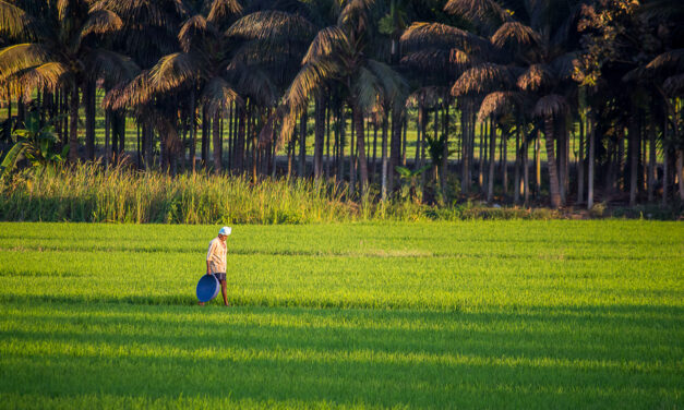 ಯಾರು ಹಿತವರು ನಮಗೆ?: ಗುರುಪ್ರಸಾದ ಕುರ್ತಕೋಟಿ ಅಂಕಣ