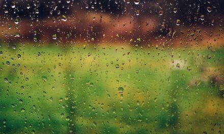 ಪ್ರಕೃತಿಯ ರಿಯಲ್ ಡೆಮೋ: ಸುಮಾವೀಣಾ ಸರಣಿ