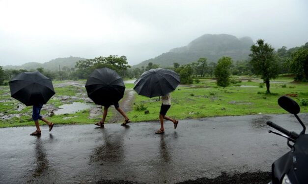 ಮಳೆರಾಯ ಬಂದ ಮಲ್ಲೆಹೂವು ತಂದ: ಚಂದ್ರಮತಿ ಸೋಂದಾ ಸರಣಿ