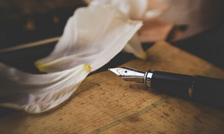 ಯಾವುದೀ “ಮುಳ್ಳು, ನಾಲಿಗೆ…?”: ವಸಂತಕುಮಾರ್‌ ಕಲ್ಯಾಣಿ ಬರಹ