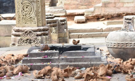 ಮನಸ್ಸಿನಂತೆ ಮಹದೇವ: ಎಸ್.‌ ನಾಗಶ್ರೀ ಅಜಯ್‌ ಅಂಕಣ