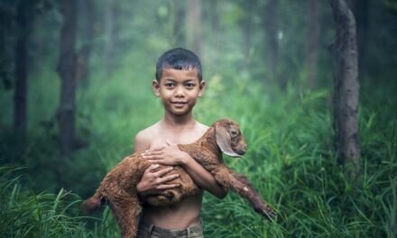 ಸಾಕುಪ್ರಾಣಿಗಳ ಒಡನಾಟದ ನೆನಪು: ಮಾರುತಿ ಗೋಪಿಕುಂಟೆ ಸರಣಿ