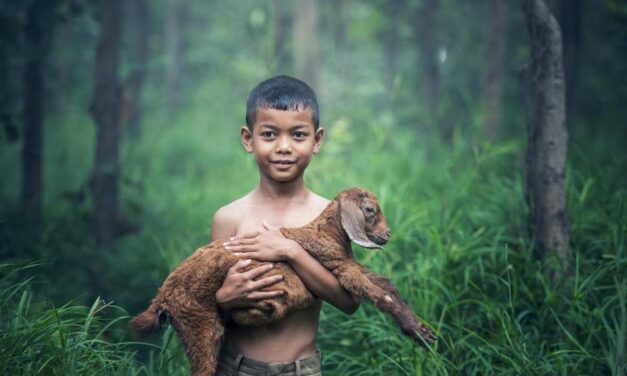 ಸಾಕುಪ್ರಾಣಿಗಳ ಒಡನಾಟದ ನೆನಪು: ಮಾರುತಿ ಗೋಪಿಕುಂಟೆ ಸರಣಿ