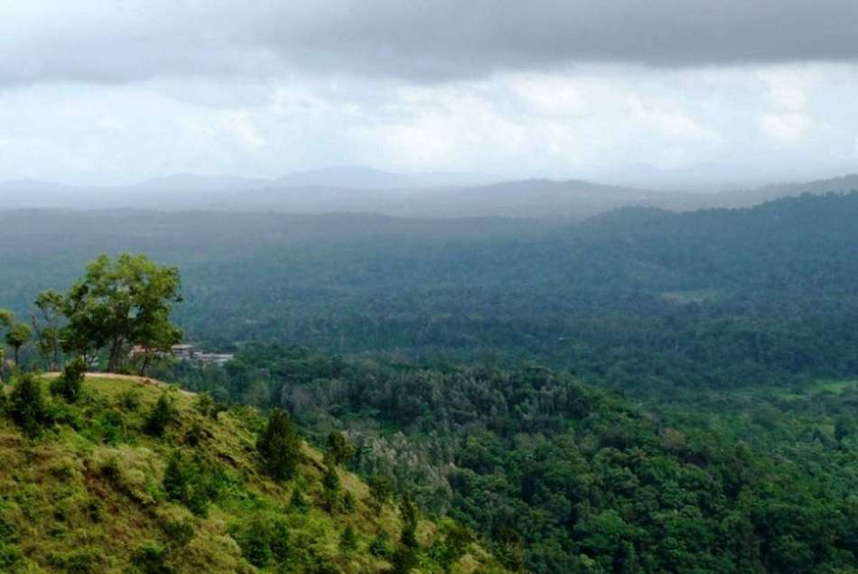 ಆದಿವಾಸಿಗಳ ಜಗತ್ತು: ಸತೀಶ್‌ ತಿಪಟೂರು ಬರಹ