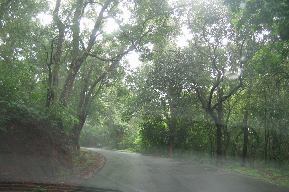 ಸೈಕ್ಲೋನ್ ಮತ್ತು ಮುತ್ತಿನ ಹಾರ: ಸುಮಾವೀಣಾ ಸರಣಿ