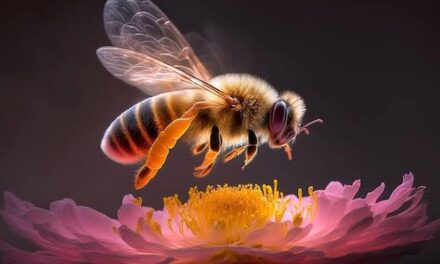 “ನಾವುಗಳಿಲ್ಲಿ ಪರಸ್ಪರರು”: ಮಹಾಲಕ್ಷ್ಮೀ ಕೆ. ಎನ್. ಬರಹ