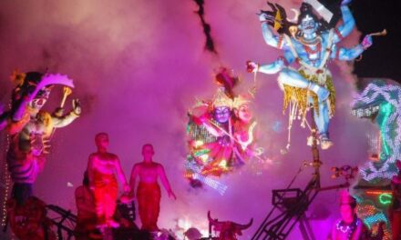 ದಸರೆಯ ನಂತರದ ದರ್ಶನ!…: ಸುಮಾವೀಣಾ ಸರಣಿ