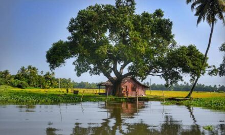 ಸುಧಾ ಆಡುಕಳ ಹೊಸ ಅಂಕಣ “ಹೊಳೆಸಾಲು” ಇಂದಿನಿಂದ ಆರಂಭ