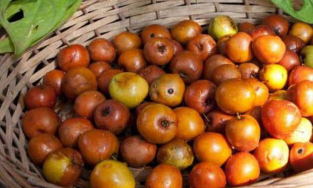 ಬಾರೆಹಣ್ಣು ಮತ್ತು ಪಟ್ಲುಗೋವಿ ಕಿಟ್ಟಪ್ಪ: ಮಾರುತಿ ಗೋಪಿಕುಂಟೆ ಸರಣಿ