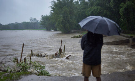ಕೆಂಪಾದವೋ ಎಲ್ಲ ಕೆಂಪಾದವೋ: ಸುಧಾ ಆಡುಕಳ ಅಂಕಣ