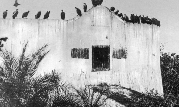 ಕೆ. ಸತ್ಯನಾರಾಯಣ ಬರೆದ ಈ ಭಾನುವಾರದ ಕತೆ