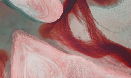 ಸಂಗೀತ ರವಿರಾಜ್, ಚೆಂಬು ಬರೆದ ಎರಡು ಕವಿತೆಗಳು