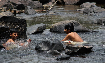 ಬೇಸಿಗೆಯ ಬೇಗೆಗೆ ನೆನಪುಗಳ ಸಿಂಚನ: ಚಂದ್ರಮತಿ ಸೋಂದಾ ಸರಣಿ