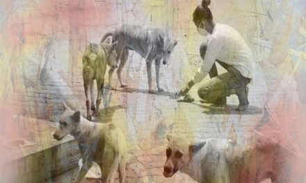 ವಸಂತಕುಮಾರ್‌ ಕಲ್ಯಾಣಿ ಬರೆದ ಈ ಭಾನುವಾರದ ಕತೆ