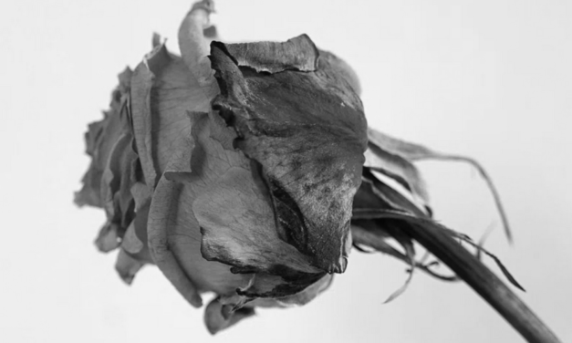 ಮಾಲಾ ಮ. ಅಕ್ಕಿಶೆಟ್ಟಿ ಬರೆದ ಈ ದಿನದ ಕವಿತೆ