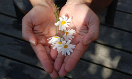 ಪ್ರೀತಿಯ ಅರ್ಥವಾದರೂ ಏನು ಹೇಳು?: ಆಶಾ ಜಗದೀಶ್ ಅಂಕಣ