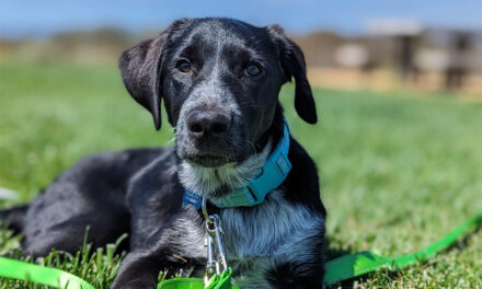 ಕೂರಾಪುರಾಣ ೨: ಏನೆಂದು ಹೆಸರಿಡುವುದು ಈ ಚೆಂದದ ಕೂಸಿಗೆ?