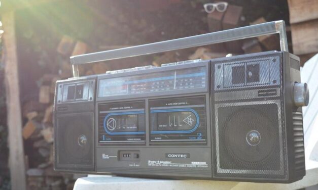 ಸಾಹೇಬರ ಟೇಪಿನೊಳಗೆ ನೀಲಿಯ ಗೋವಿಂದ: ಸುಧಾ ಆಡುಕಳ ಅಂಕಣ