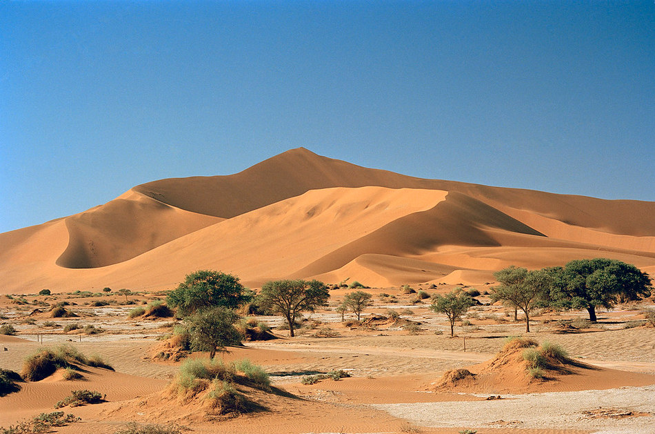 ಪರಿಸರ ರಕ್ಷಣೆಯ ಕಠಿಣ ವಜ್ರ ನಮೀಬಿಯಾ: ಡಾ. ವಿಶ್ವನಾಥ ಎನ್ ನೇರಳಕಟ್ಟೆ ಸರಣಿ