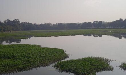 ನಮ್‌ ಸೈಟ್‌ ಎಲ್ಲಿದೆ! : ಎಚ್. ಗೋಪಾಲಕೃಷ್ಣ ಸರಣಿಯ ಐವತ್ತನೆಯ ಕಂತು!