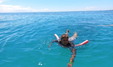 ಲೆಕ್ಕಕ್ಕೆ ಸಿಗದ ೨೦೨೪ ಏಳು-ಬೀಳುಗಳು: ವಿನತೆ ಶರ್ಮ ಅಂಕಣ