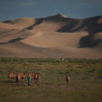 ಗೋಬಿ ಮರುಭೂಮಿ ಡೈನೋಸಾರ್ ತೊಟ್ಟಿಲು: ಡಾ. ವೆಂಕಟಸ್ವಾಮಿ ಪ್ರವಾಸ ಕಥನ