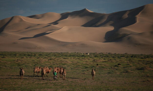 ಗೋಬಿ ಮರುಭೂಮಿ ಡೈನೋಸಾರ್ ತೊಟ್ಟಿಲು: ಡಾ. ವೆಂಕಟಸ್ವಾಮಿ ಪ್ರವಾಸ ಕಥನ