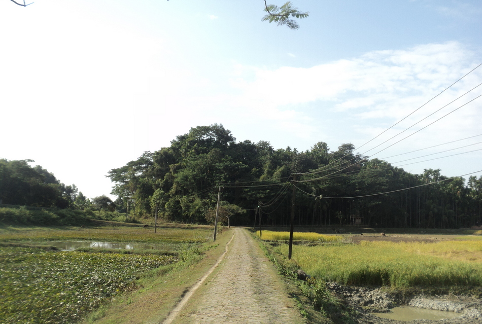 ಮಂತ್ರುಕ್ಕೆ ಮಾವಿನ್ ಕಾಯೂ ಉದುರ್ತೈತೆ: ಸುಮಾ ಸತೀಶ್ ಸರಣಿ
