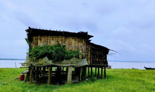 ನೀರ ನೆಲದ ಮೇಲೆ ನೂರಾರು ಮನೆ – ಧೊದಿಯಾ: ಹೇಮಾ ನಾಯಕ ಬರಹ