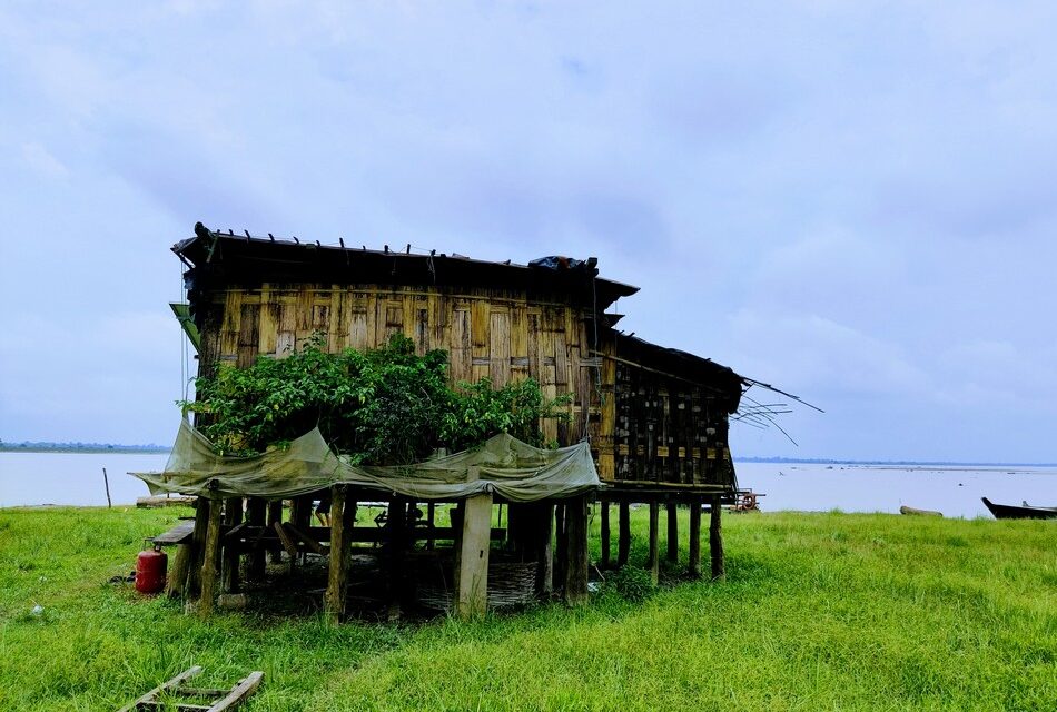 ನೀರ ನೆಲದ ಮೇಲೆ ನೂರಾರು ಮನೆ – ಧೊದಿಯಾ: ಹೇಮಾ ನಾಯಕ ಬರಹ