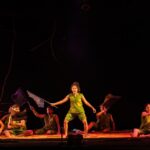 ‘ದಿ ಫೈಯರ್’….: ಡಾ. ಶ್ರೀಪಾದ ಭಟ್‌ ಬರಹ