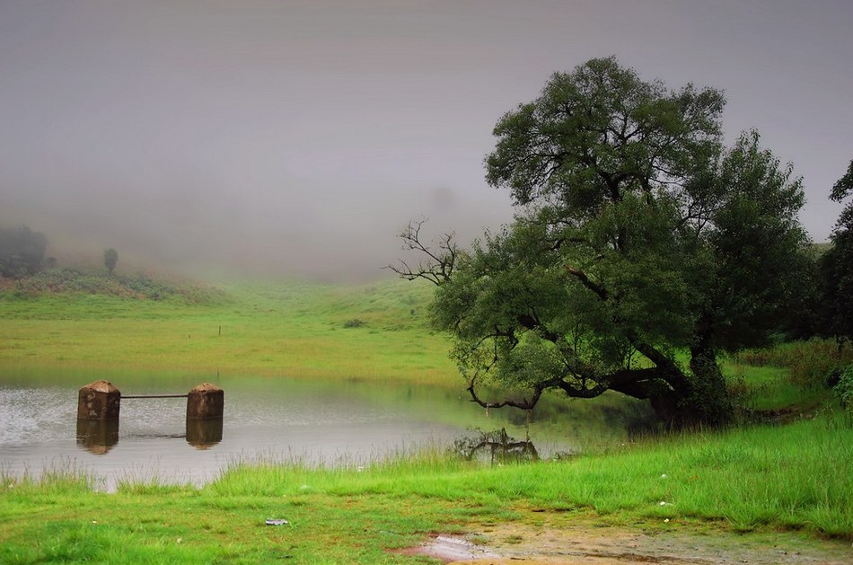 ನಮ್ಮೂರ ಮಳೆಗಾಲದ ರಸದೌತಣ: ಭವ್ಯ ಟಿ.ಎಸ್.‌ ಬರಹ