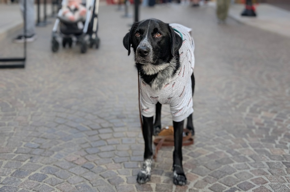 ಕೂರಾಪುರಾಣ ೧೨: ಹಿಡಿ ಪ್ರೀತಿಗೆ ಹಂಬಲಿಸುತ್ತ, ಹೃದಯ ಕರಗುವಷ್ಟು ಪ್ರೀತಿಸುತ್ತ..