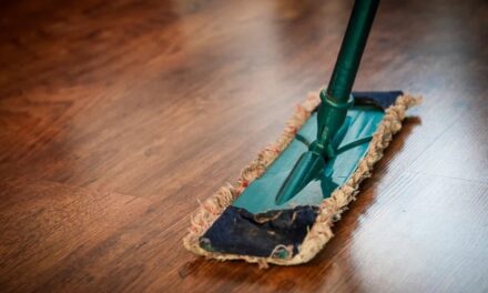 ಮನೆವಾಳ್ತೆ ಎಂಬ ಹೊನ್ನ ಸಂಕೋಲೆ: ಎಲ್.ಜಿ.ಮೀರಾ ಅಂಕಣ