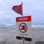 ಬಂದೇ ಬಿಟ್ಟ ಆಲ್ಫ್ರೆಡ್: ಡಾ. ವಿನತೆ ಶರ್ಮ ಅಂಕಣ