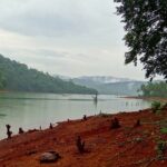 ಭವ್ಯ ಟಿ.ಎಸ್. ಹೊಸ ಸರಣಿ “ಮಲೆನಾಡಿನ ಹಾಡು-ಪಾಡು” ಶುರು