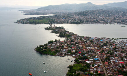 ಫ್ರೆಂಚ್ ಹಸ್ತದಿಂದ ಮುಕ್ತವಾದ ಗಿಣಿ ಗಿನಿಯಾ: ಡಾ. ವಿಶ್ವನಾಥ ನೇರಳಕಟ್ಟೆ ಸರಣಿ