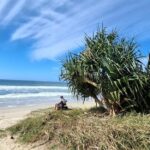 ಶರತ್ಕಾಲದ ರಂಗುರಂಗಿನ ಪ್ರಚಾರ: ಡಾ. ವಿನತೆ ಶರ್ಮ ಅಂಕಣ