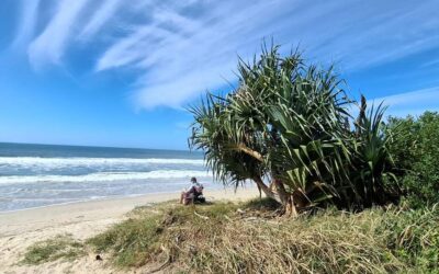 ಶರತ್ಕಾಲದ ರಂಗುರಂಗಿನ ಪ್ರಚಾರ: ಡಾ. ವಿನತೆ ಶರ್ಮ ಅಂಕಣ