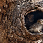 ಕೃಷ್ಣ ದೇವಾಂಗಮಠ ತೆಗೆದ ಈ ದಿನದ ಫೋಟೋ