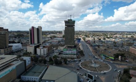 ಏಳು ಸುತ್ತಿನ ಕೋಟೆಯ ನಡುವೆ ಜಾಂಬಿಯಾ: ಡಾ. ವಿಶ್ವನಾಥ ನೇರಳಕಟ್ಟೆ ಸರಣಿ