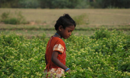 ಬರೀ ನಾಲ್ಕು ಗೋಡೆಯ ಮಧ್ಯೆ ಕಲಿಯುವುದೇ ಶಿಕ್ಷಣವಲ್ಲ…!!: ಬಸವನಗೌಡ ಹೆಬ್ಬಳಗೆರೆ ಸರಣಿ