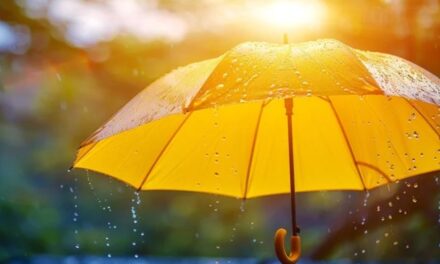 “ಹಳದಿ ಕೊಡೆ”: ಡಾ. ಖಂಡಿಗೆ ಮಹಾಲಿಂಗ ಭಟ್ ಅನುವಾದಿಸಿದ ರಸ್ಕಿನ್‌ ಬಾಂಡ್‌ ಬರಹ