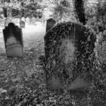 ಮನೆಯವರ ಮನಗಳಲ್ಲಿ ಸಾಯುವವರ ಕತೆ: ರೂಪಶ್ರೀ ಕಲ್ಲಿಗನೂರ್‌ ಬರಹ