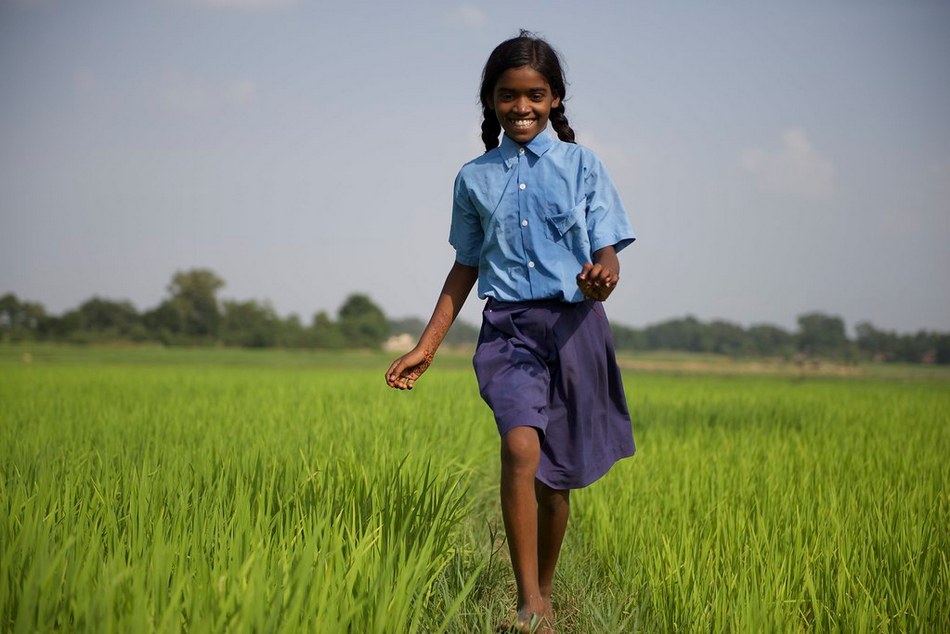 ನಮ್ಮ ಕಾಲದ ಕೃಷಿ….: ರೂಪಾ ರವೀಂದ್ರ ಜೋಶಿ ಸರಣಿ