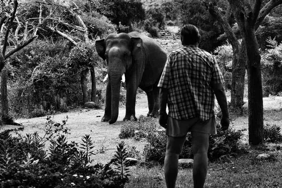 ಕಾಡು, ಪುಸ್ತಕ, ಅಭಿಮಾನ ಹಾಗೂ ಅಂತರ್ಜಾಲ ಸಮುದಾಯಗಳ ಆಹ್ಲಾದಕರ ಲೋಕ: ಎಲ್.ಜಿ.ಮೀರಾ ಅಂಕಣ