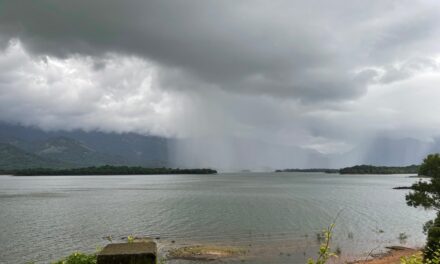 ಶ್ರಾವಣ ಬಂತೂ ನಾಡಿಗೆ….: ಮಹಾಲಕ್ಷ್ಮೀ ಕೆ. ಎನ್. ಬರಹ