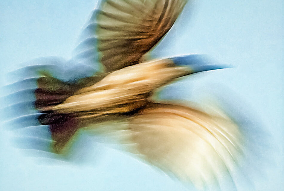 ನಿರಂಜನ ಕೇಶವ ನಾಯಕ ಬರೆದ ಈ ದಿನದ ಕವಿತೆ